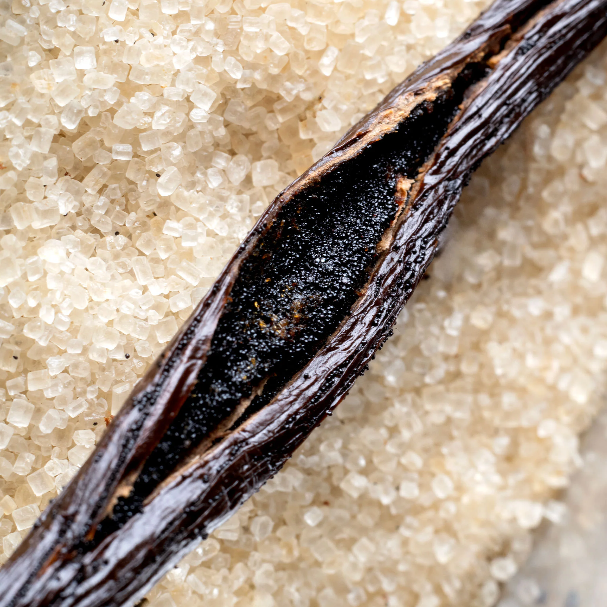 Sucre Vanille Bio - Image 3